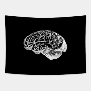 Anatomical Correct Brain Illustration Tapestry