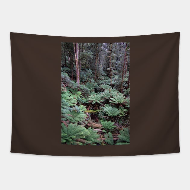 Tree ferns on forest floor. Tapestry by sma1050