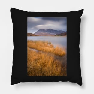 Arkle weather system Pillow