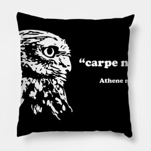 Athene noctua Pillow