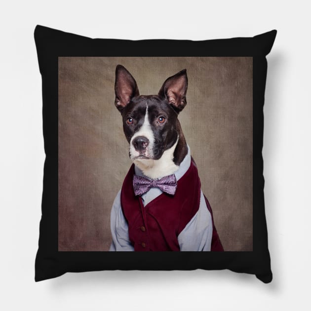 Shelter Pets Project - Petey Pillow by TammySwarek