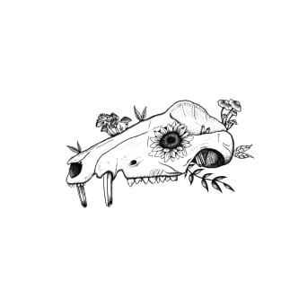 Opossum Skull Design T-Shirt