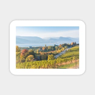 Naramata and Okanagan Lake Autumn Vineyard View Magnet