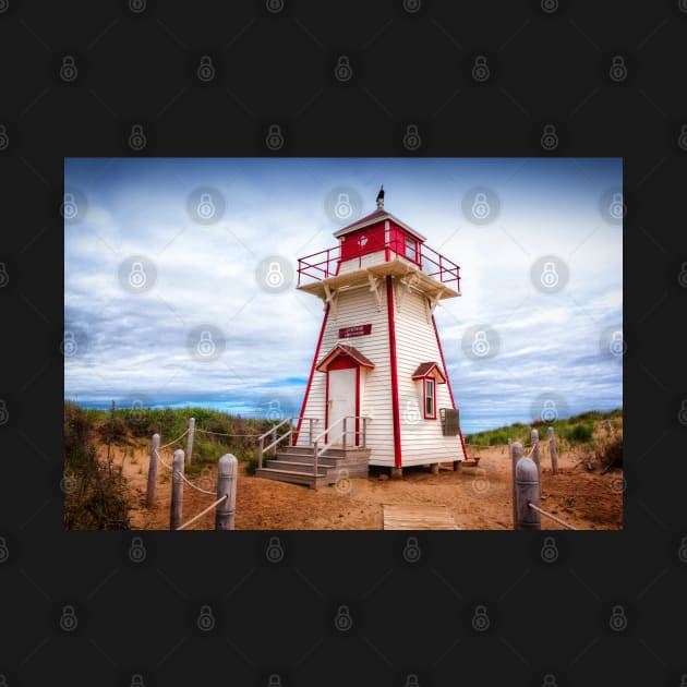 Covehead Lighthouse Puzzle by Robert Alsop