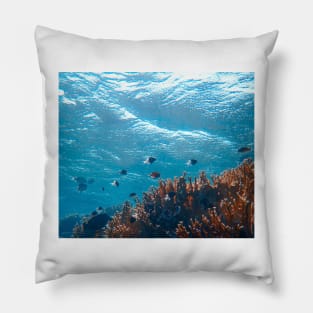 Underwater photography Pillow