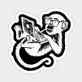 Design Monkey Magnet