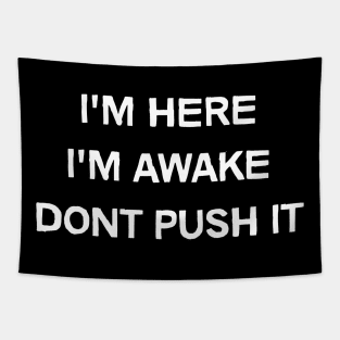 Im here, Im awake, Don't Push It funny Tapestry