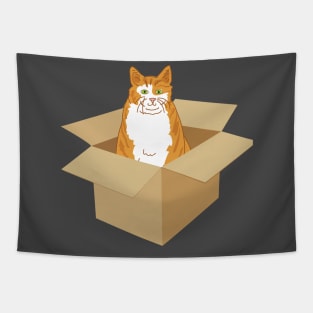 Orange Tabby Cat In A Box Tapestry