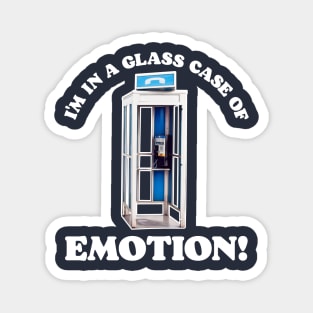 Glass Case of Emotion Magnet