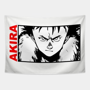 Akira Tetsuo Tapestry