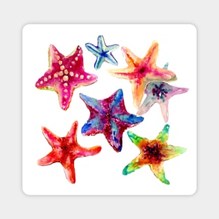 Starfish Magnet