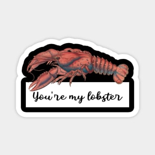 You're my lobster Magnet