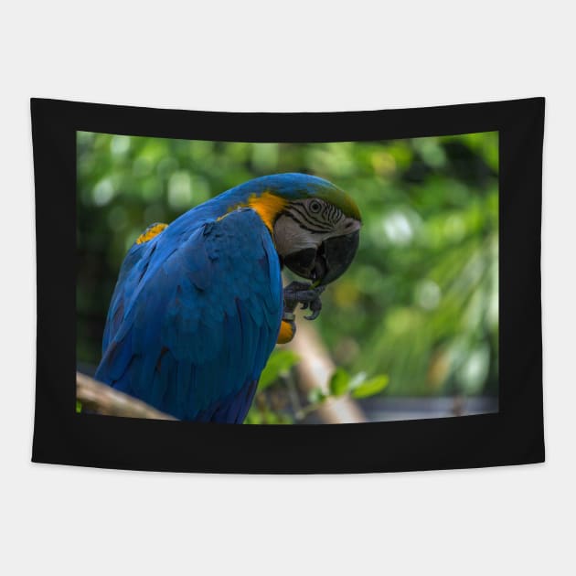 macaw parrot Tapestry by likbatonboot