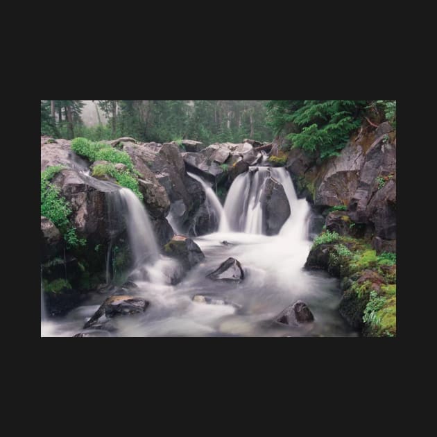 Paradise River Cascade Mt Rainier National Park by AinisticGina