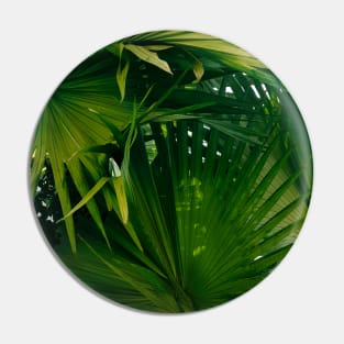 Palm tree - tropical green - nature photography Pin