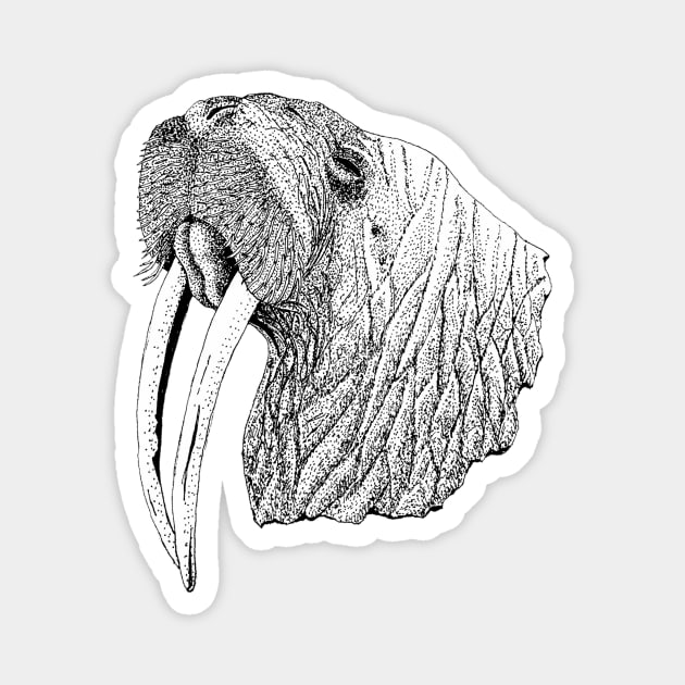 Walrus Magnet by mattleckie