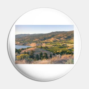 Summer Vineyards in the Okanagan Valley Pin