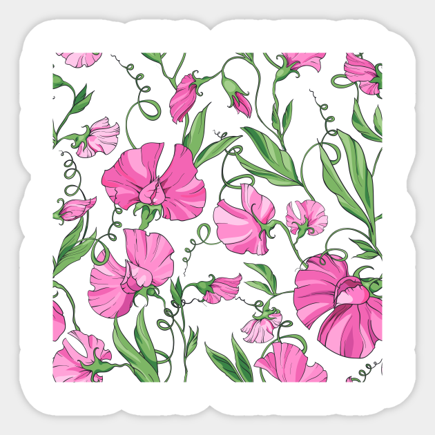 pink sweet pea - Sweet Pea - Sticker