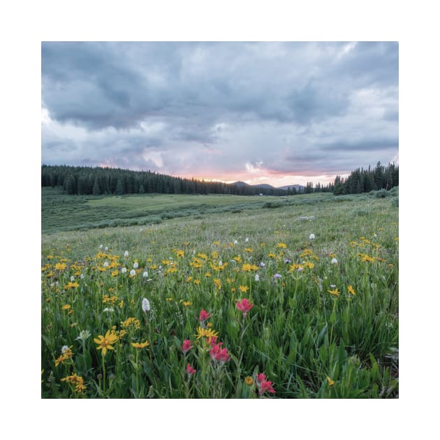 Wildflowers in the breeze II by RoseAesthetic