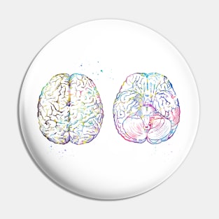 Human brain scheme Pin