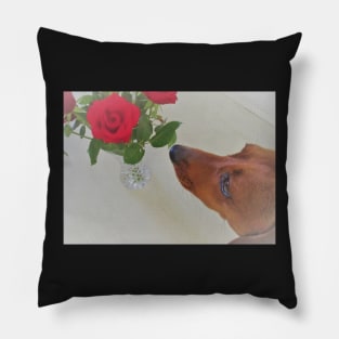 Smelling the roses Pillow