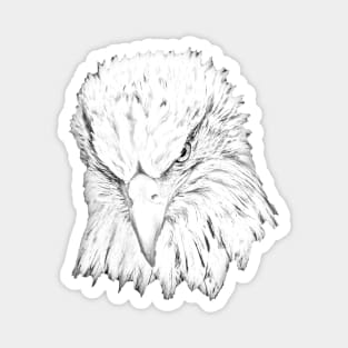 Line drawing of a Bald Eagle Magnet