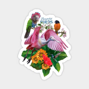 Roseate spoonbill and other beautiful birds Magnet