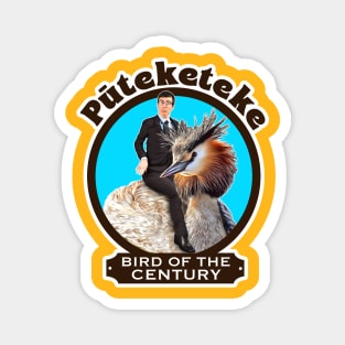 Puteketeke: Bird Of The Century Magnet