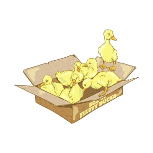 Box of fluffy ducks T-Shirt