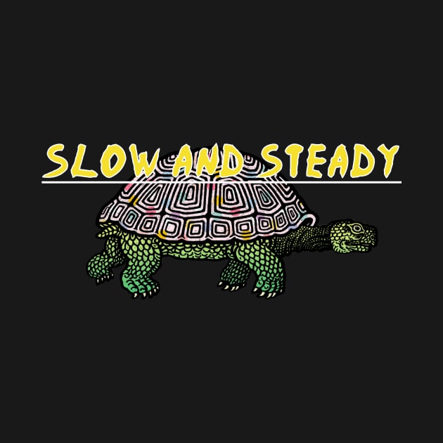 Slow and steady tortoise and the hare pink by Captain-Jackson