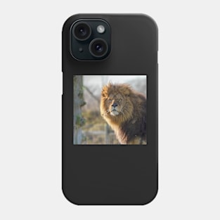 Majestic male lion Phone Case