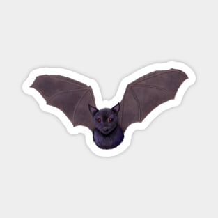 Flying Bat Magnet