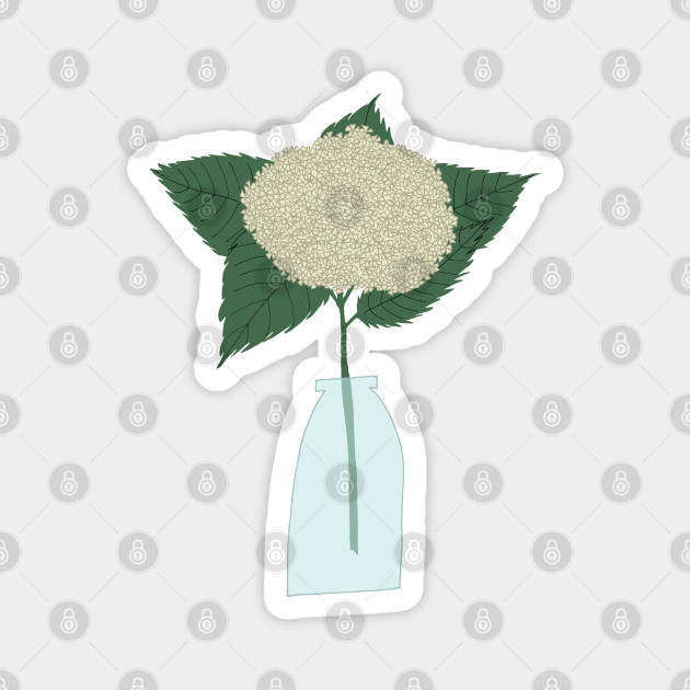 Floral Drawing Iii White Hydrangea Png Hydrangea Magnet Teepublic Au Floral Drawing Iii White Hydrangea Png Hydrangea Magnet Teepublic Au