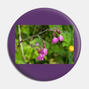 Red Campion after rain Pin