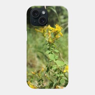 Spotted St. John's Wort Phone Case