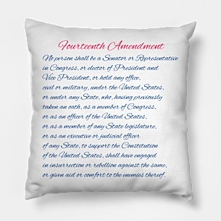 14th Amendment Pillow