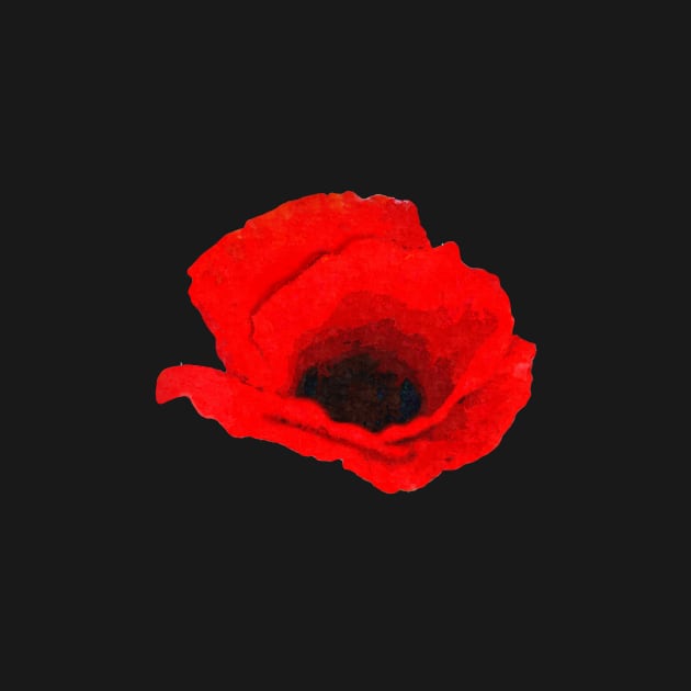 Painted Poppy Flower by oknoki