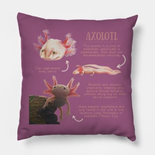 Animal Facts - Axolotl Pillow