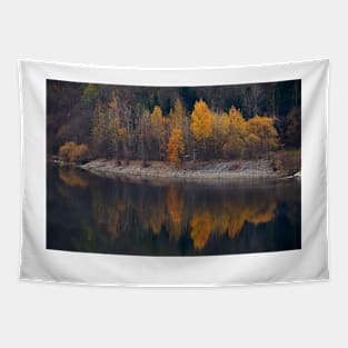 Landscape with autumn on the lake Tapestry