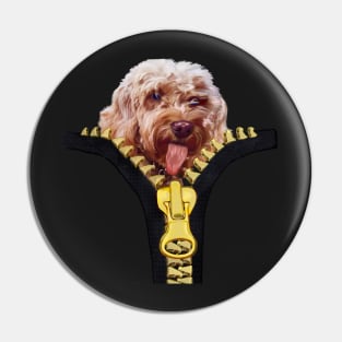 Doggy in my pocket - Cavapoo Cavoodle puppy sticking it’s tongue out - cute cavalier king charles spaniel Pin