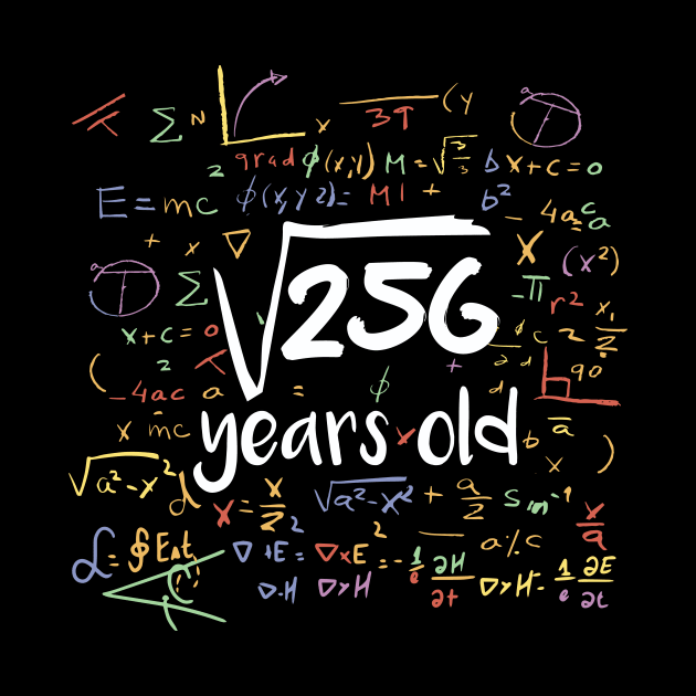 Square Root of 256 Years Old // Funny Math Birthday // 16 Years Old by SLAG_Creative