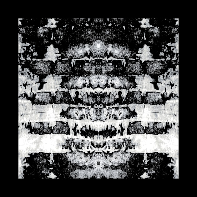 Black and White Tie-Dye Symmetry by Carolina Díaz