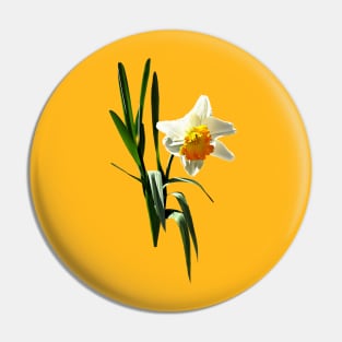 Daffodils - Daffodil Taking a Bow Pin