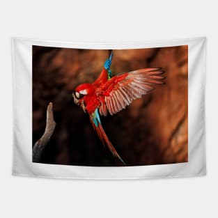 Red-and-green Macaw Tapestry