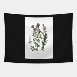 Canada Thistle Tapestry