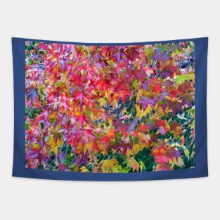 Seasons change Tapestry