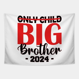 only child big brother 2024 Tapestry