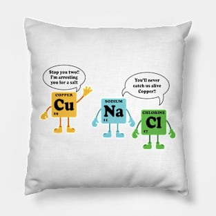 Funny Scientist Pillow