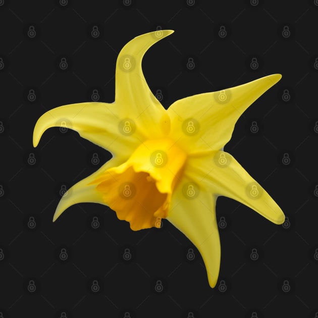 space yellow flower by rickylabellevie