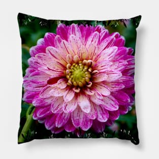 Dahlia Pillow